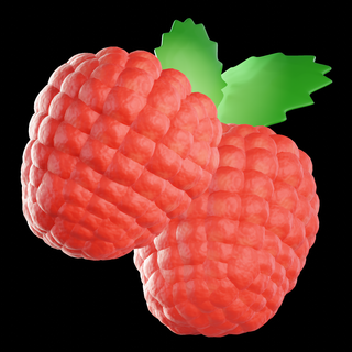 raspberry Foods 3d print model - Mito3D