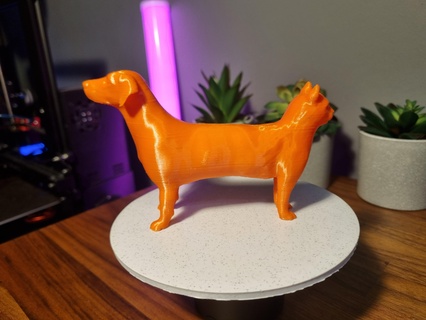 real life catdog Mammal 3d print model - Mito3D