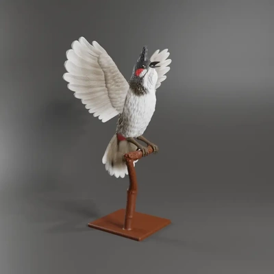 red whiskered bulbul 3d modelos descargar crealidad nube 3d print model - Mito3D