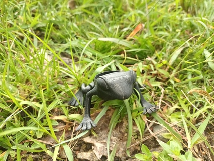kırmızı göz kurbağa hayvanlar 3d print model - Mito3D