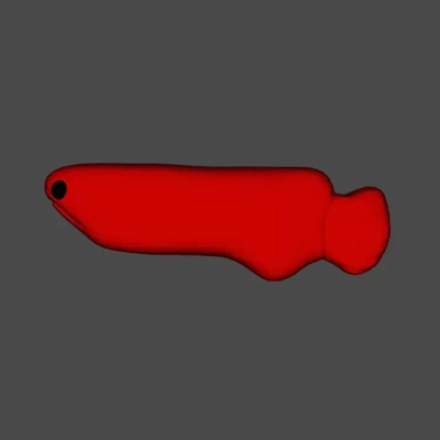 rouge poisson 3d modèles télécharger créalité nuage 3d print model - Mito3D