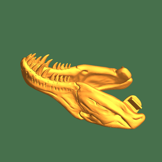 rex Tiere 3d print model - Mito3D