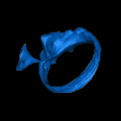 ring turtle3dscan 3d modèles télécharger créalité nuage 3d print model - Mito3D