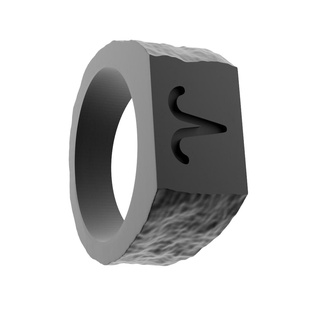 rings zodiac signs Fashion 3d print model - Mito3D
