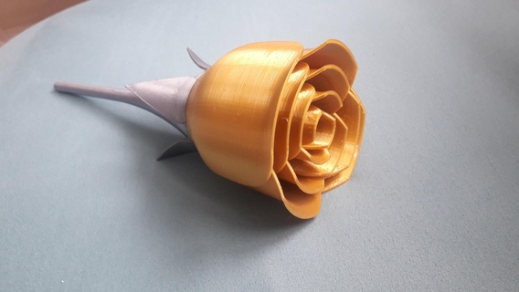 Rosa flores 3d print model - Mito3D