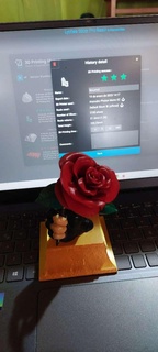 rosa fiori 3d print model - Mito3D