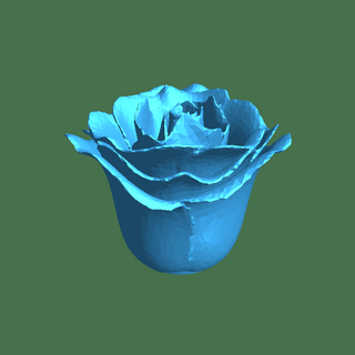 Rosa fleurs 3d print model - Mito3D