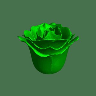 Rose fleurs 3d print model - Mito3D