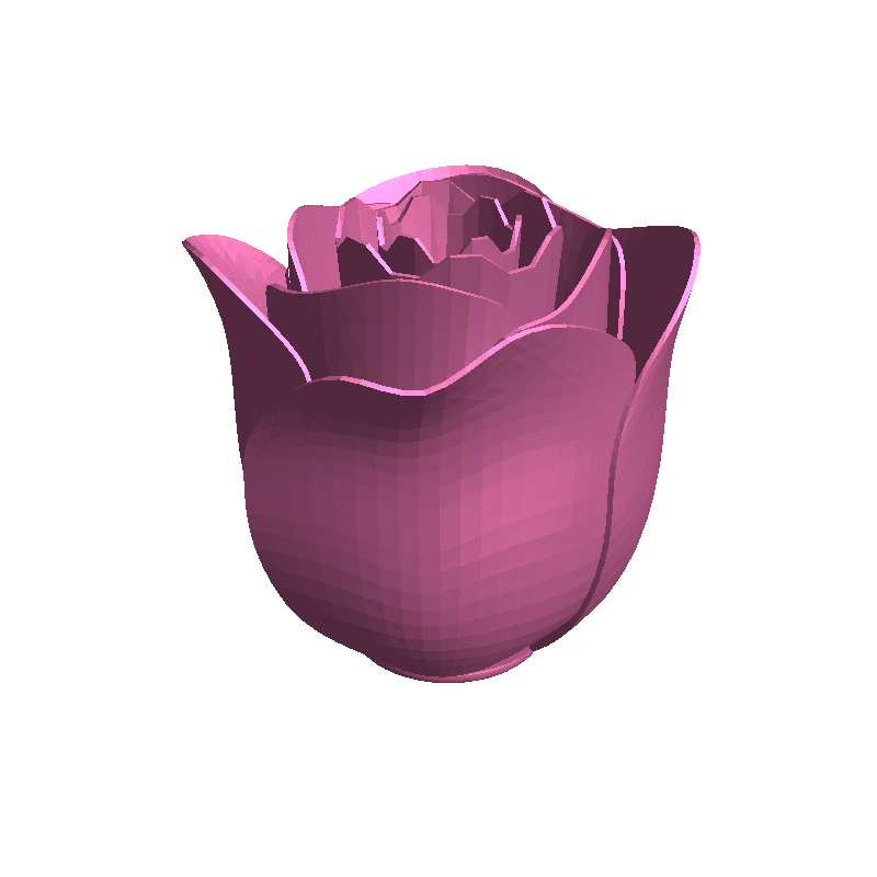 rose open Flowers 3D print model - Mito3D