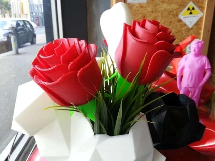 rose Flowers 3d print model - Mito3D