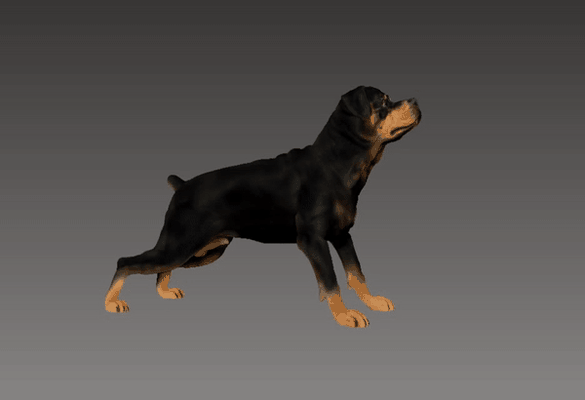 rottweiler alert status 3d models download creality cloud mammal 3d print model - Mito3D