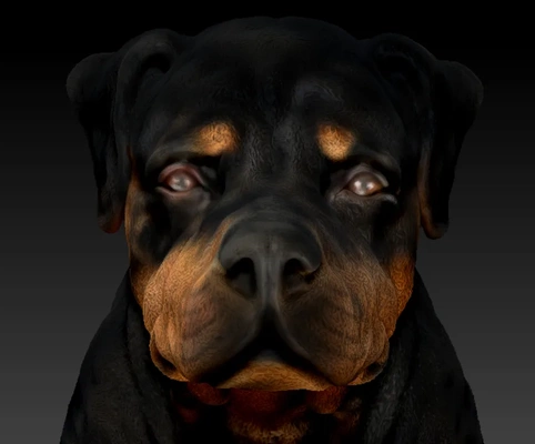 rottweiler dog 3d models download creality cloud mammal 3d print model - Mito3D