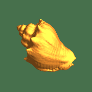 escaneado Concha mar pequeno 3d print model - Mito3D
