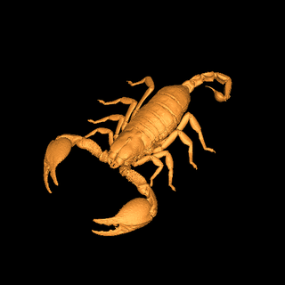 Scorpion insectes 3d print model - Mito3D