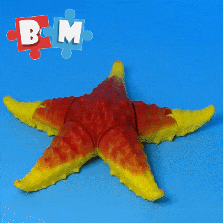 mar estrella mezcla bestias juguetes juegos 3d print model - Mito3D