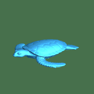 mar tartaruga reptiliano 3d print model - Mito3D