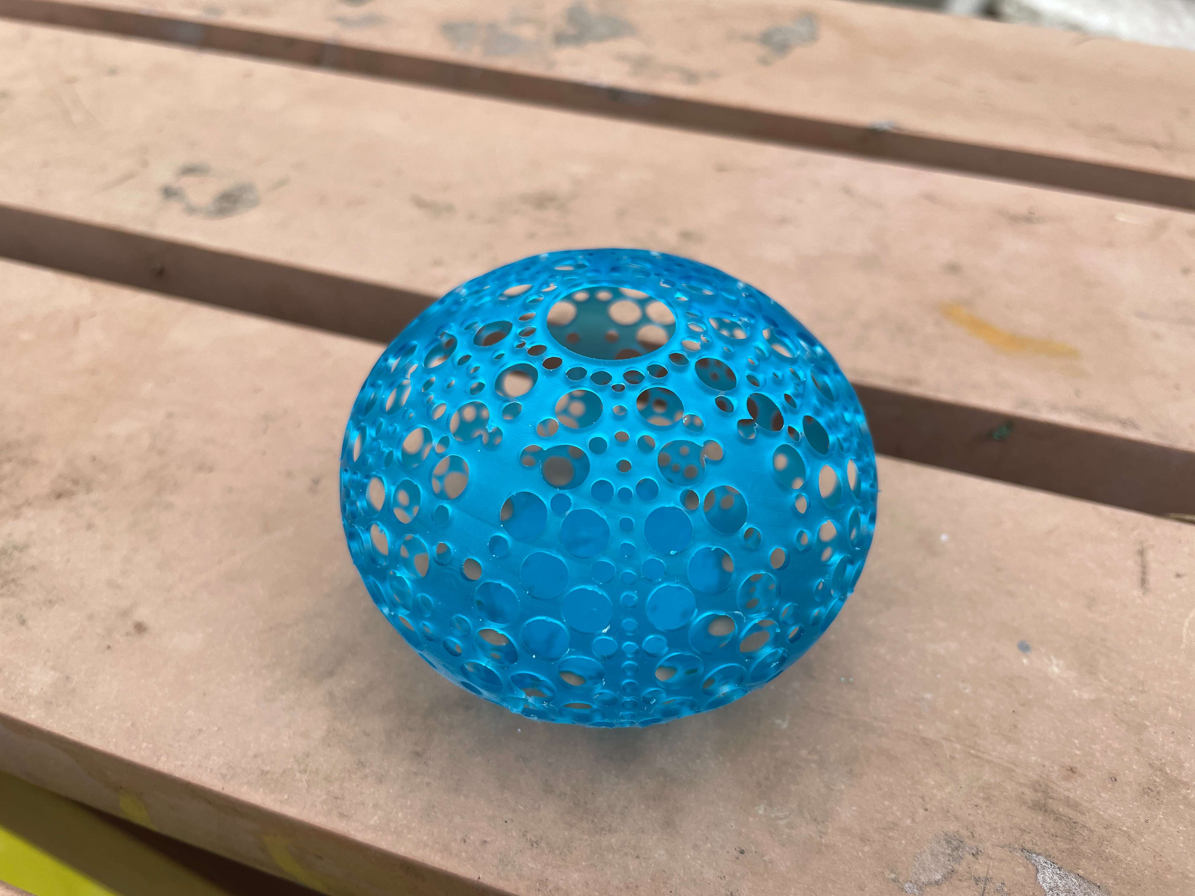 mar ouriço animais 3D print model - Mito3D