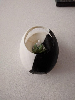 semilla maceta naturaleza plantas 3d print model - Mito3D