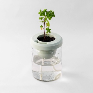 self watering recyclé pot Accueil maison décor 3d print model - Mito3D