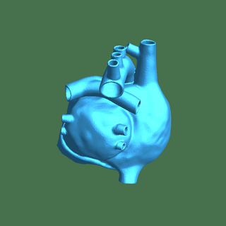 cuore corpo parti 3d print model - Mito3D