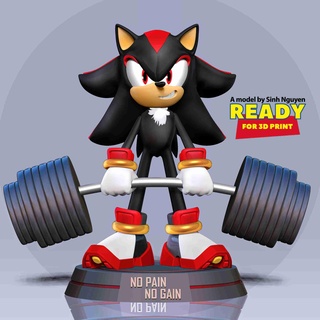 shadow hedgehog lifting weight Fictional Characters 3d print model - Mito3D