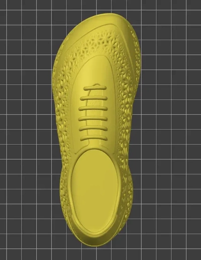 zapato enrejado 3d modelos descargar crealidad nube 3d print model - Mito3D