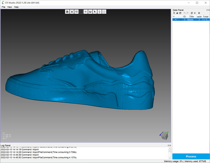 Schuhe gescannt cr scan Eidechse Zubehör 3d print model - Mito3D