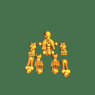 esqueleto ossos 3d print model - Mito3D