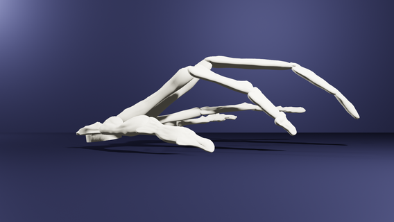 scheletro mano casa arredamento 3d print model - Mito3D