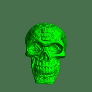 cráneo cuerpo partes 3d print model - Mito3D