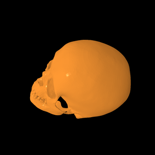 crâne personnages 3d print model - Mito3D