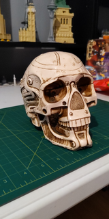 cráneo 1 3d print model - Mito3D