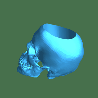 skull 3d models download creality cloud Others 3d print model - Mito3D