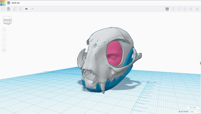 crânio gato cabeça 3d modelos baixar crialidade nuvem 3d print model - Mito3D