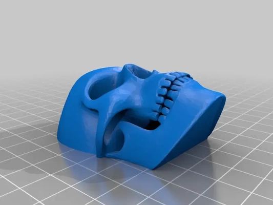 cráneo cara 3d modelos descargar crealidad nube 3d print model - Mito3D