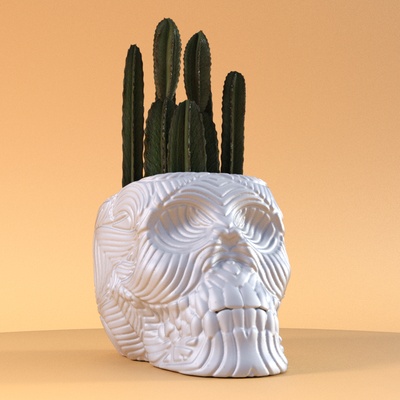 crâne fleur pot 3d modèles télécharger créalité nuage accueil maison décor 3d print model - Mito3D