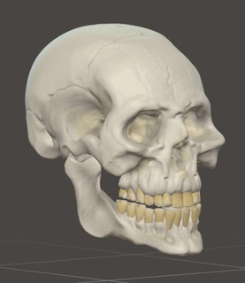 crâne Halloween personnages 3d print model - Mito3D