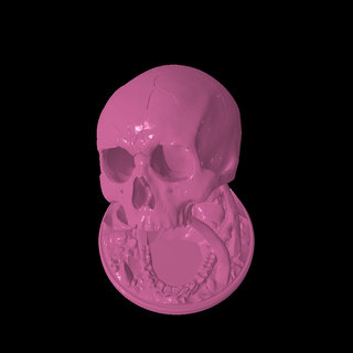 skull head Body Parts 3d print model - Mito3D