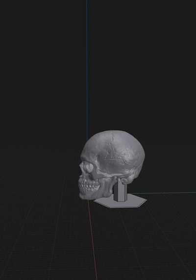 cráneo casco monitor estante soporte 3d modelos descargar crealidad nube 3d print model - Mito3D