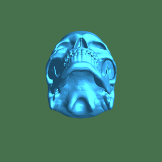 cranio portachiavi corpo parti 3d print model - Mito3D