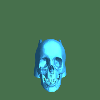 skull magwell Body Parts 3d print model - Mito3D