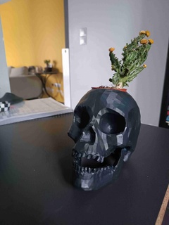 crânio plantar vaso 3d modelos baixar crialidade nuvem casa decoração 3d print model - Mito3D