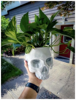 skull planter supportless 3d models download creality cloud Nature & Plants 3d print model - Mito3D