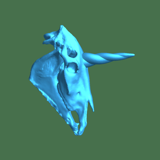 cranio unicorno 3d print model - Mito3D