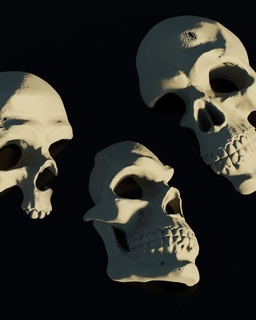 skull walls Household 3d print model - Mito3D