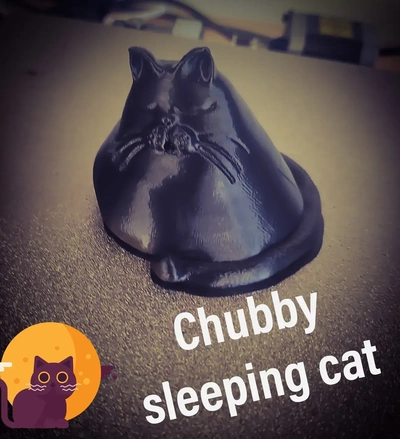 train dormir joufflu chat 3d modèles télécharger créalité nuage 3d print model - Mito3D