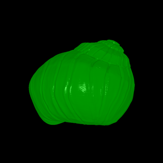 slug shells 3d models download creality cloud Animals 3d print model - Mito3D