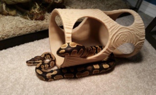 serpente nascondere log animali 3d print model - Mito3D