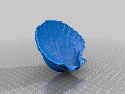 soap dish seashell Household 3d print model - Mito3D