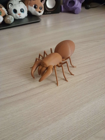 spinne niedlich spielzeug 3d modelle download realität wolke 3d print model - Mito3D